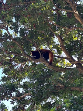 熱川バナナワニ園に投稿された画像（2023/11/8）