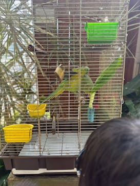 熱川バナナワニ園に投稿された画像（2023/11/8）