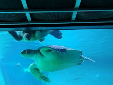 箱根園水族館に投稿された画像（2023/11/8）