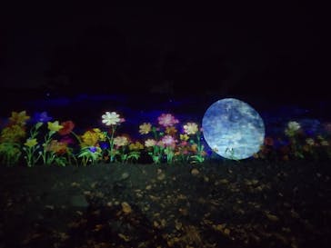 NAKED meets 二条城 2025 観月に投稿された画像（2023/11/8）