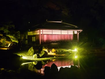 NAKED meets 二条城 2025 観月に投稿された画像（2023/11/8）