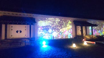 NAKED meets 二条城 2025 観月に投稿された画像（2023/11/8）