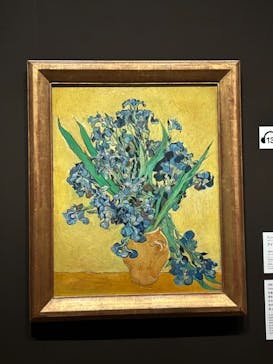 ゴッホと静物画　伝統から革新へ（SＯＭＰＯ美術館）に投稿された画像（2023/11/8）