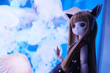 新江ノ島水族館に投稿された画像（2023/11/8）