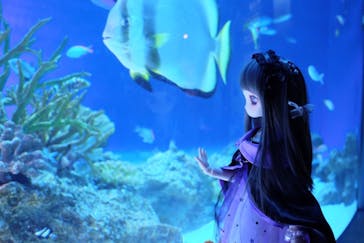 新江ノ島水族館に投稿された画像（2023/11/8）