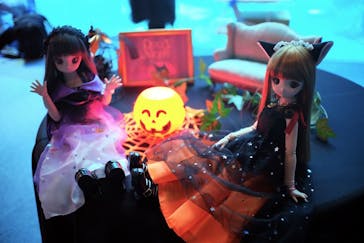 新江ノ島水族館に投稿された画像（2023/11/8）