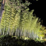 国営昭和記念公園 秋の夜散歩に投稿された画像（2023/11/8）