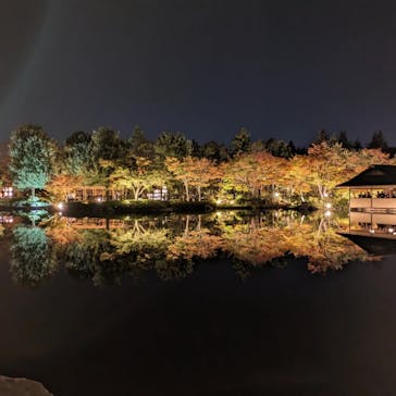 国営昭和記念公園 秋の夜散歩に投稿された画像（2023/11/8）