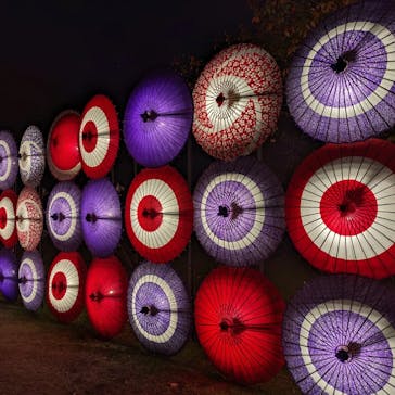 国営昭和記念公園 秋の夜散歩に投稿された画像（2023/11/8）