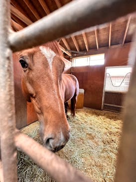 ノーザンホースパークに投稿された画像（2023/11/8）