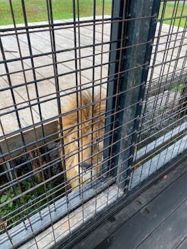 那須サファリパークに投稿された画像（2023/11/8）