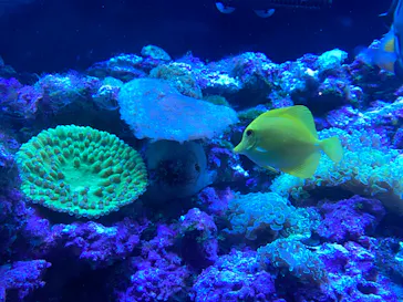 マクセル アクアパーク品川に投稿された画像（2023/11/8）