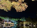 国営昭和記念公園 秋の夜散歩に投稿された画像（2023/11/9）