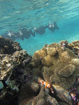 宮古島 ADVENTURE PiPi（ミヤコジマ アドベンチャー ピピ）に投稿された画像（2023/11/8）