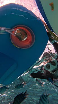 青の洞窟専門店　沖縄ダイビングショップ和に投稿された画像（2023/11/8）