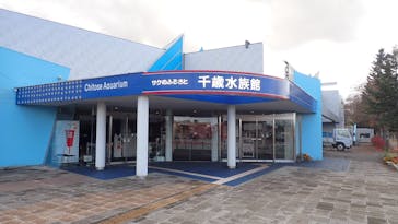 サケのふるさと 千歳水族館に投稿された画像（2023/11/8）