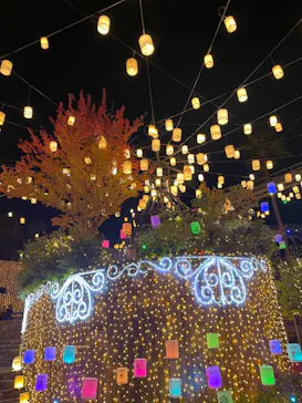 ひらかたパークに投稿された画像（2023/11/9）