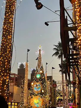 ひらかたパークに投稿された画像（2023/11/9）