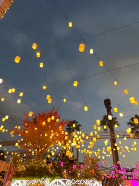 ひらかたパークに投稿された画像（2023/11/9）