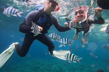 武藤潜水に投稿された画像（2023/11/9）