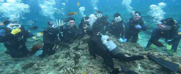 武藤潜水に投稿された画像（2023/11/9）