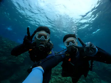 武藤潜水に投稿された画像（2023/11/9）