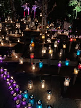 江の島シーキャンドルに投稿された画像（2023/11/9）