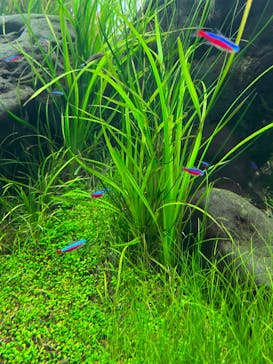 AOAO SAPPOROに投稿された画像（2023/11/9）