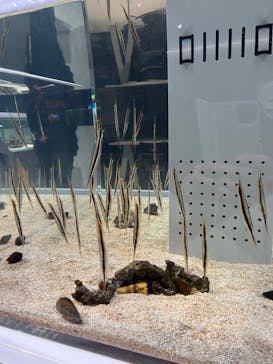 AOAO SAPPOROに投稿された画像（2023/11/9）