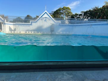 しながわ水族館に投稿された画像（2023/11/9）