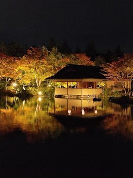 国営昭和記念公園 秋の夜散歩に投稿された画像（2023/11/9）