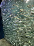 サンシャイン水族館に投稿された画像（2023/11/9）