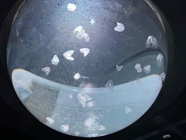 サンシャイン水族館に投稿された画像（2023/11/9）