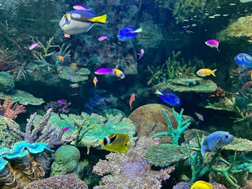 サンシャイン水族館に投稿された画像（2023/11/9）