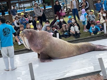 南知多ビーチランド＆南知多おもちゃ王国に投稿された画像（2023/11/9）