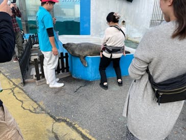 南知多ビーチランド＆南知多おもちゃ王国に投稿された画像（2023/11/9）