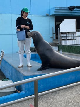 南知多ビーチランド＆南知多おもちゃ王国に投稿された画像（2023/11/9）