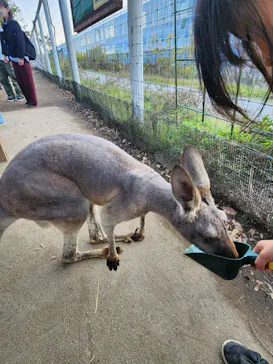 神戸どうぶつ王国に投稿された画像（2023/11/9）
