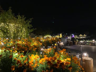 いばらきフラワーパークに投稿された画像（2023/11/9）