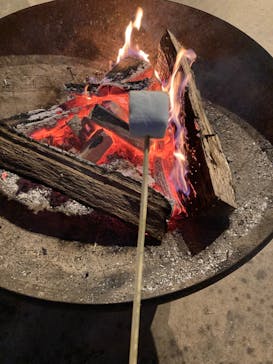 いばらきフラワーパークに投稿された画像（2023/11/9）