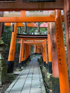 京阪電車に投稿された画像（2023/11/9）