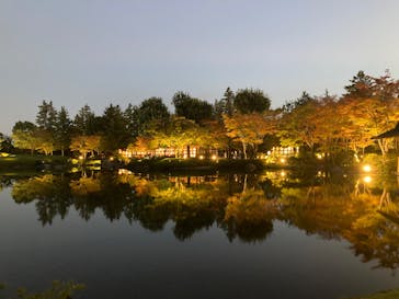 国営昭和記念公園 秋の夜散歩に投稿された画像（2023/11/9）