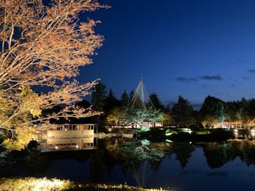 国営昭和記念公園 秋の夜散歩に投稿された画像（2023/11/9）