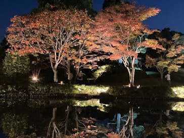 国営昭和記念公園 秋の夜散歩に投稿された画像（2023/11/9）