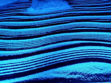 博多ライトアップウォーク実行委員会に投稿された画像（2023/11/9）