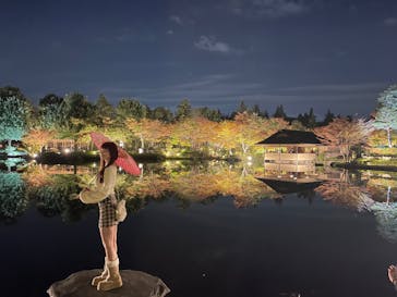 国営昭和記念公園 秋の夜散歩に投稿された画像（2023/11/9）