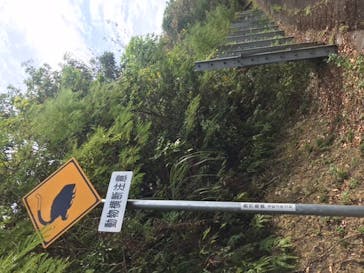 奄美ナイトガイドサービスに投稿された画像（2023/11/9）