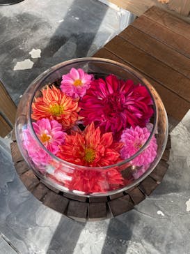 いばらきフラワーパークに投稿された画像（2023/11/9）