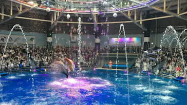 マクセル アクアパーク品川に投稿された画像（2023/11/9）