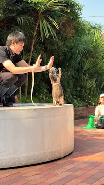 マクセル アクアパーク品川に投稿された画像（2023/11/9）